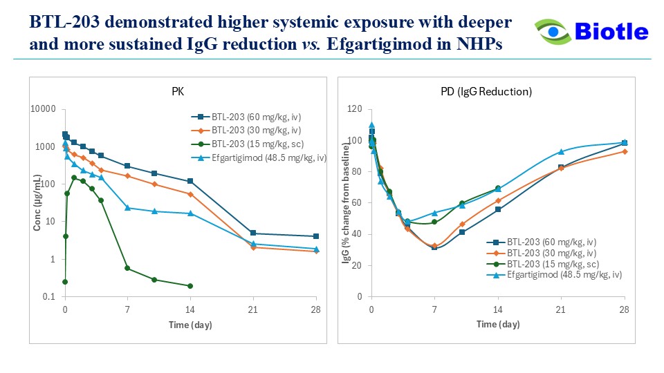 BTL-203 PKPD in cynomolgus monkeys